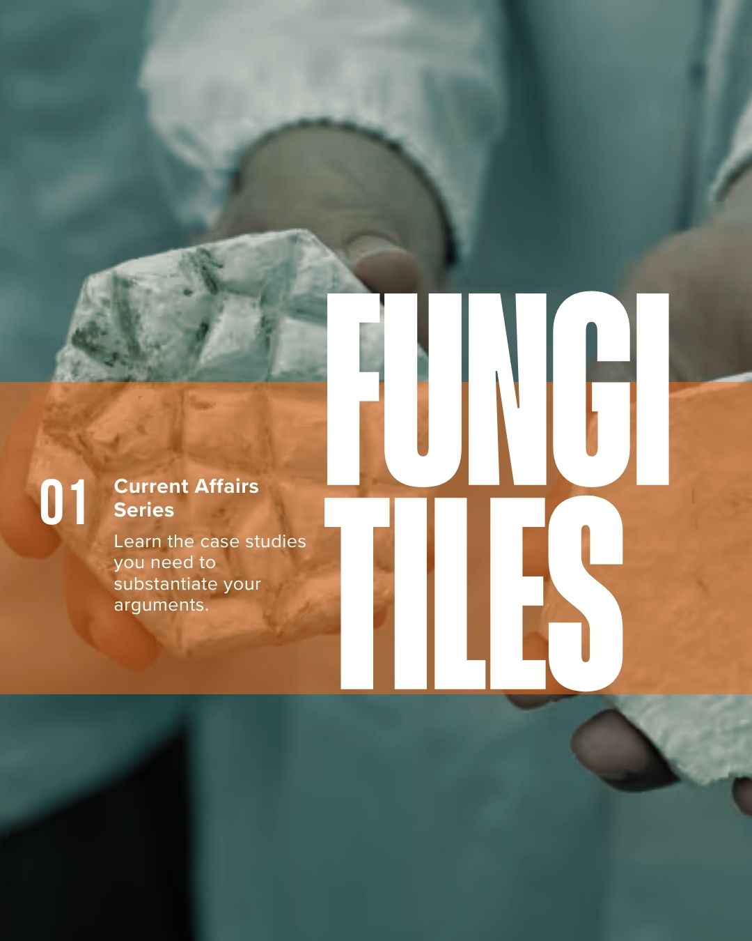 Fungi Tiles